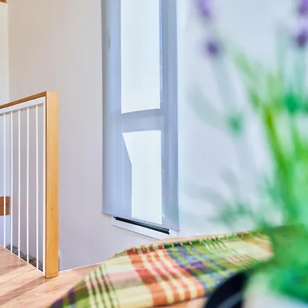 La Casita De Singulis *